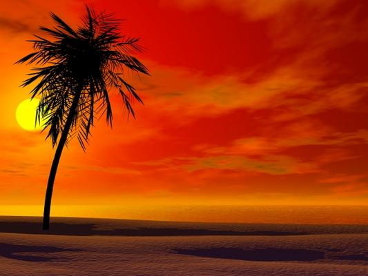 Tropical sunset od Sarah Holmlund
