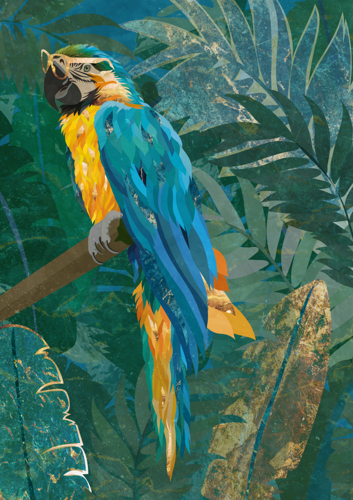 Blue parrot in the rainforest od Sarah Manovski
