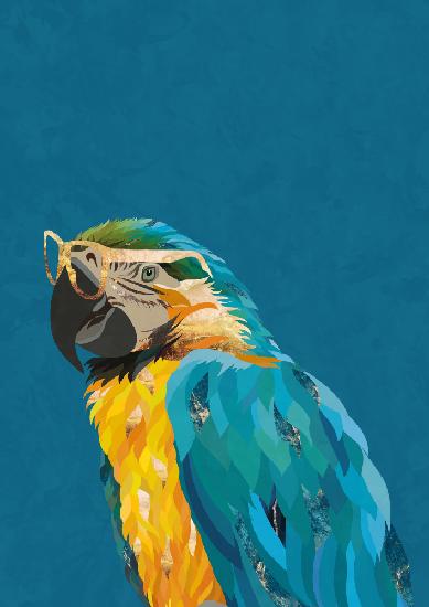 Vibrant macaw wearing glasses
