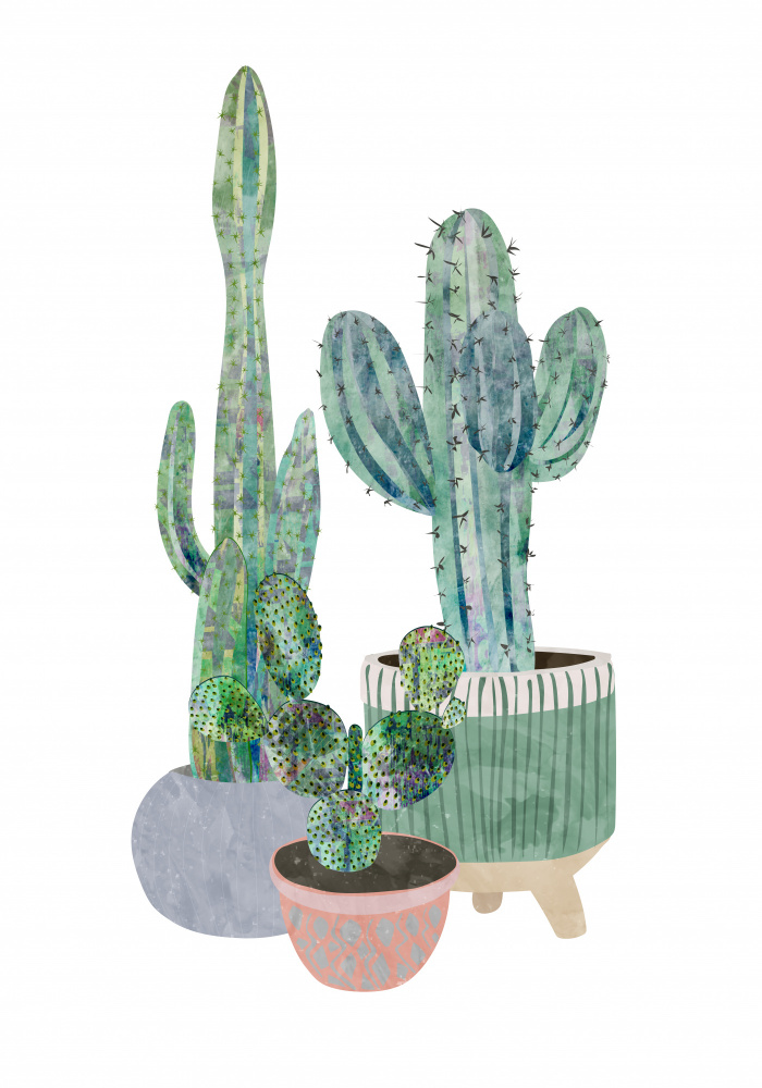 Scandi Japandi Cactus trio od Sarah Manovski