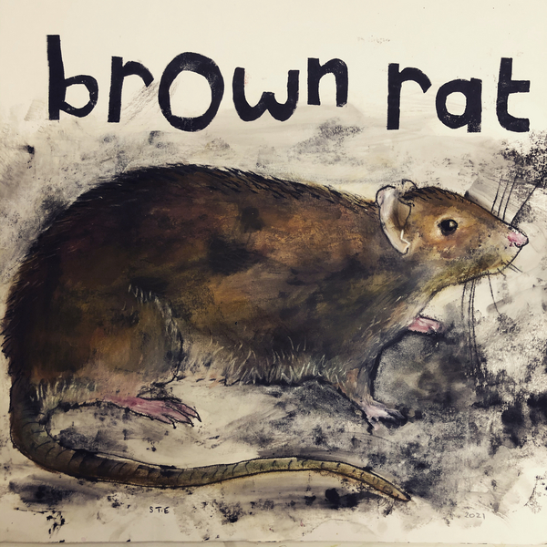 Brown rat od Sarah Thompson-Engels