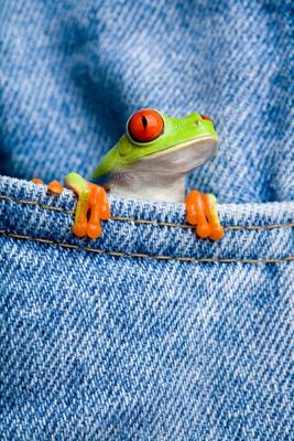 frog in pocket od Sascha Burkard