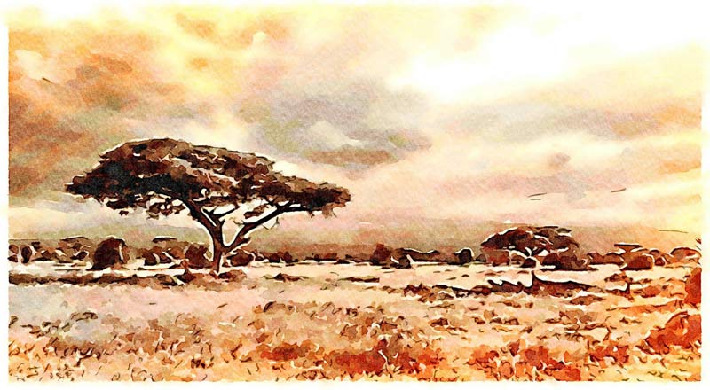 Afrikanische Landschaft od Saskia Ben Jemaa