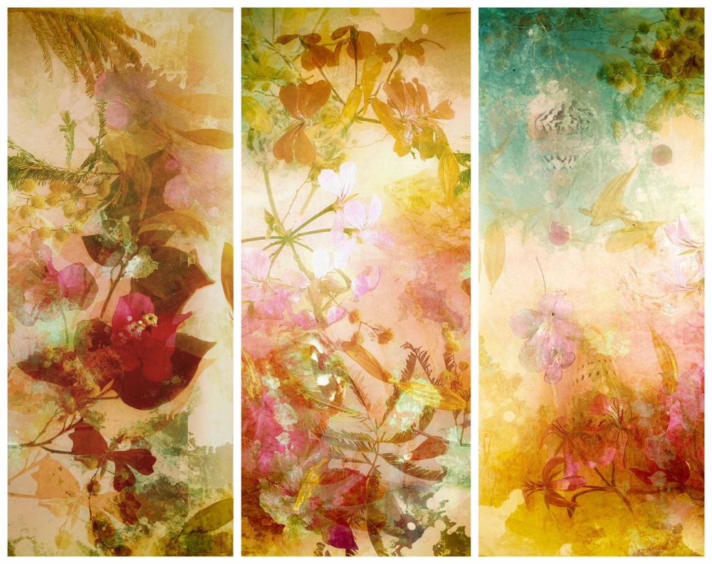 Flower abstractions  with mimosa, shells ,bougainvillea  floating in water.. Trilogy . od Saskia Dingemans