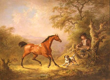 A Groom Feeding a Horse od Sawrey Gilpin
