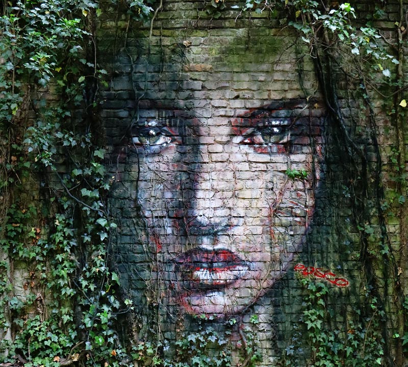 A fairy is looking through the ivy branches od Frank Schröter (Rosco!)
