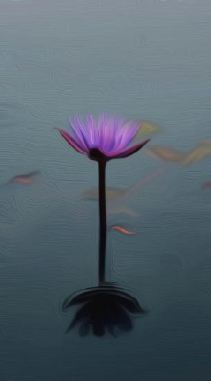 Purple lily