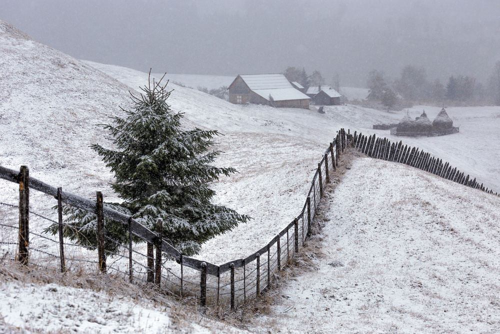 Already Winter in Bucovina od Sebastian Vasiu (Sebastiaen)