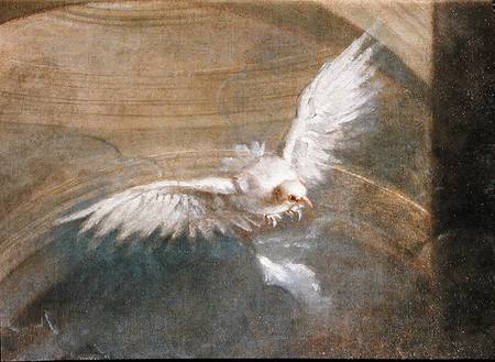 The Dove of the Holy Spirit  (detail of 230043) od Sebastiano Bombelli