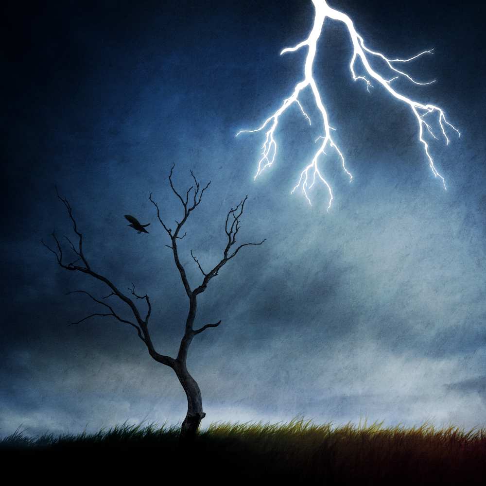 lightning tree od Sebastien DEL GROSSO