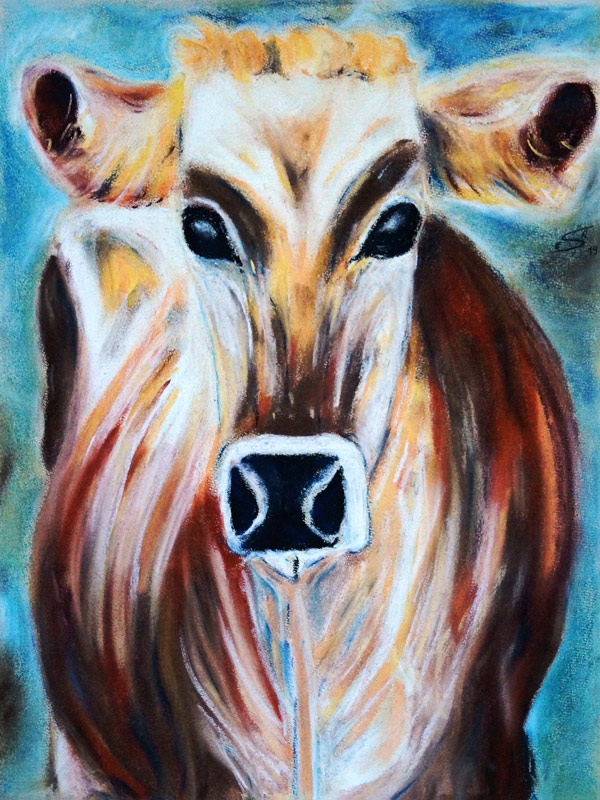 Kuh auf Göscheneralp in Schweiz od Eva Seltmann-Reinig