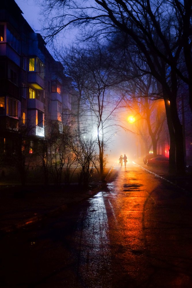 through foggy yards od Sergey Trush