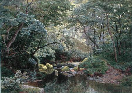 A Woodland Stream od S.G. Williams Roscoe