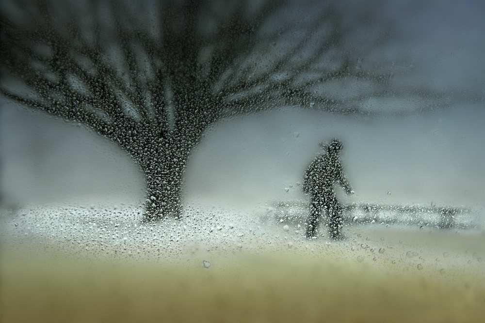 Man in Nature - Winter od Shenshen Dou