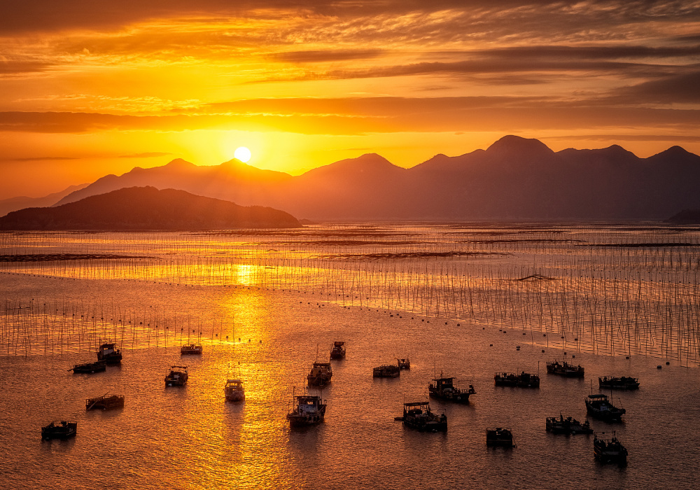 Fishing boats under sunset. od Shimei Yan