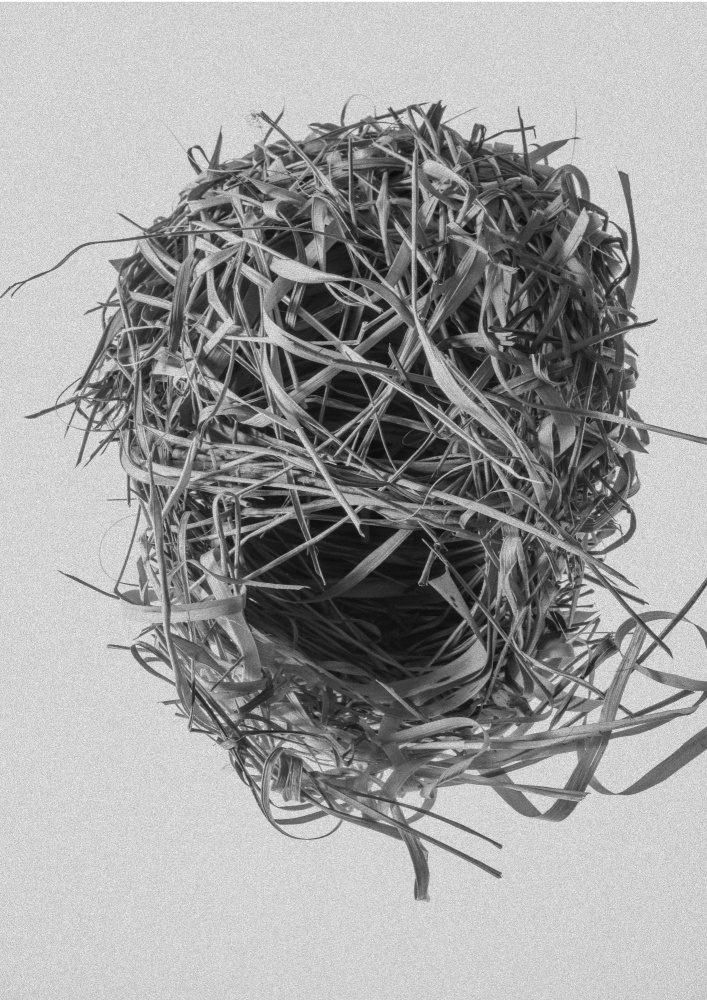 Weavers Nest od Shot by Clint