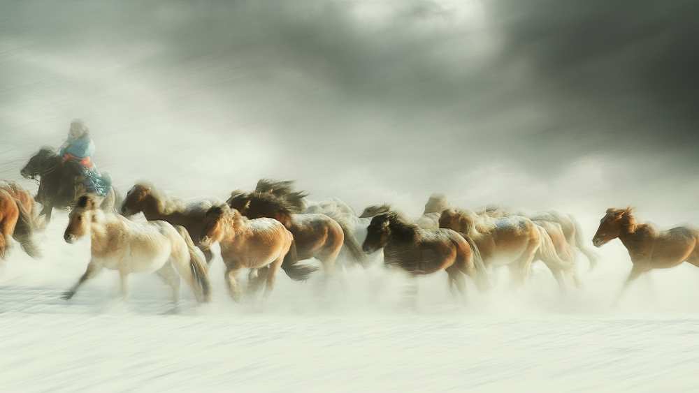 Horses gallop od Shu-Guang Yang