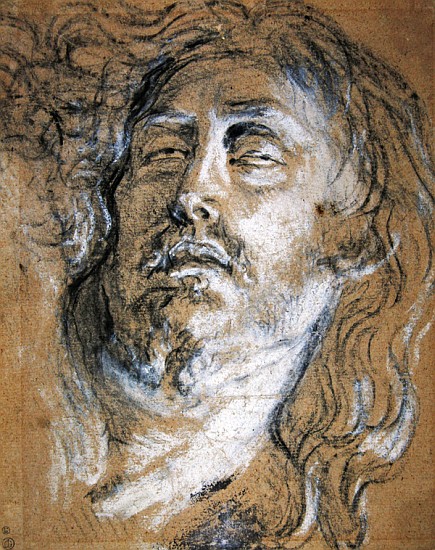 Head of the dead Christ (charcoal & chalk on paper) od Sir Anthony van Dyck