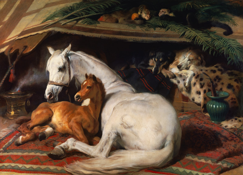 Das Araber - Fohlen od Sir Edwin Henry Landseer