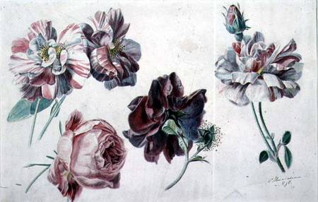 Roses od Sir Lawrence Alma-Tadema