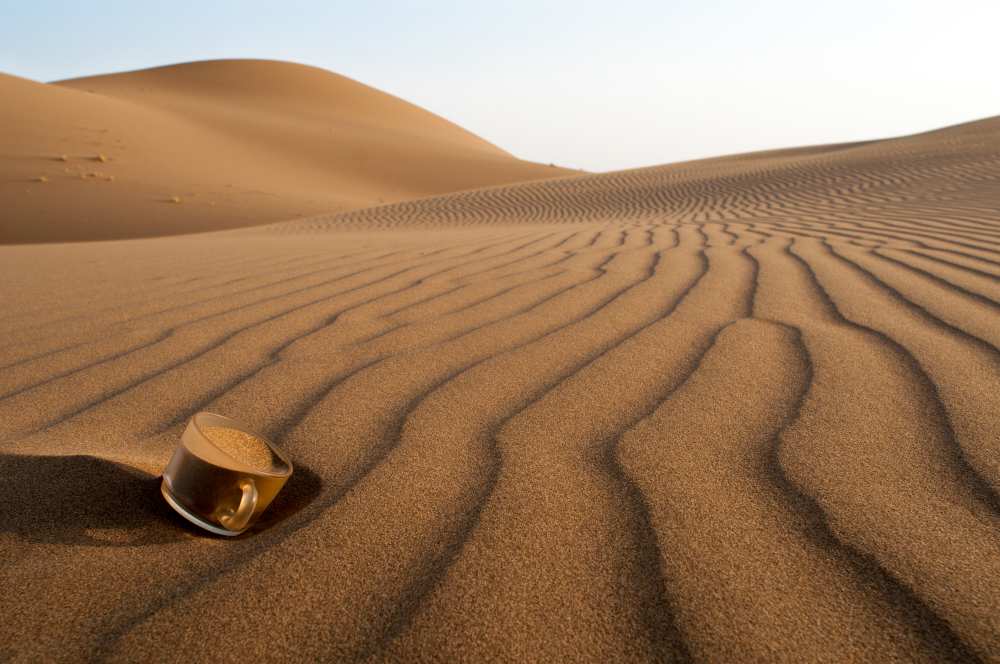 The thirsty desert. od Soheil Soheily