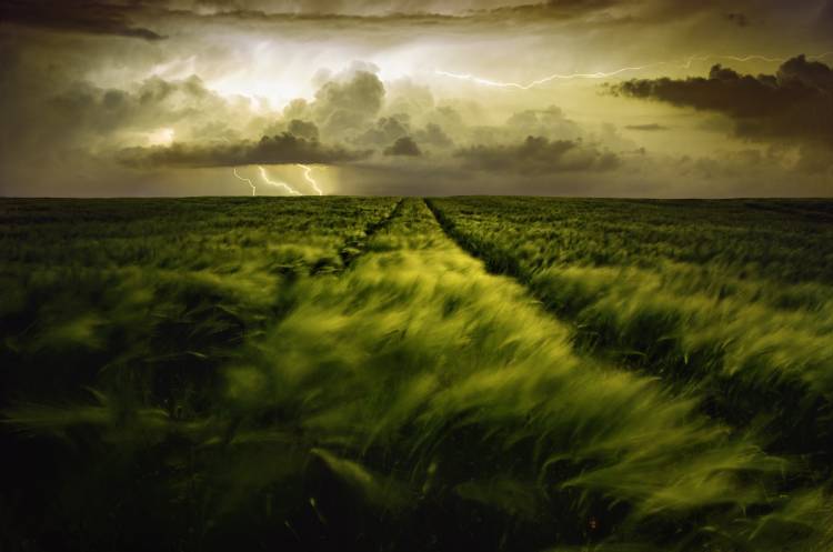 Journey to the Fierce Storm od Sona Buchelova