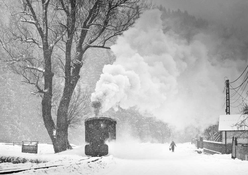 A Winter's Tale od Sorin Onisor