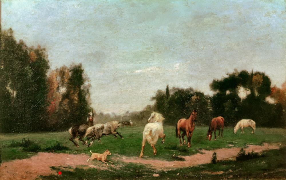 Horses Frolicking in the Meadow od Stanislas Lépine
