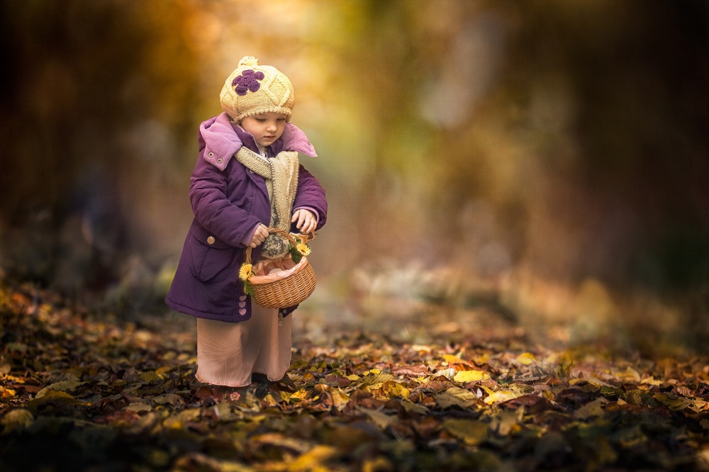 Small autumn fairy od Stanislav Hricko