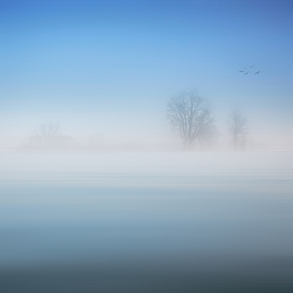 a foggy day od Stefan Eisele