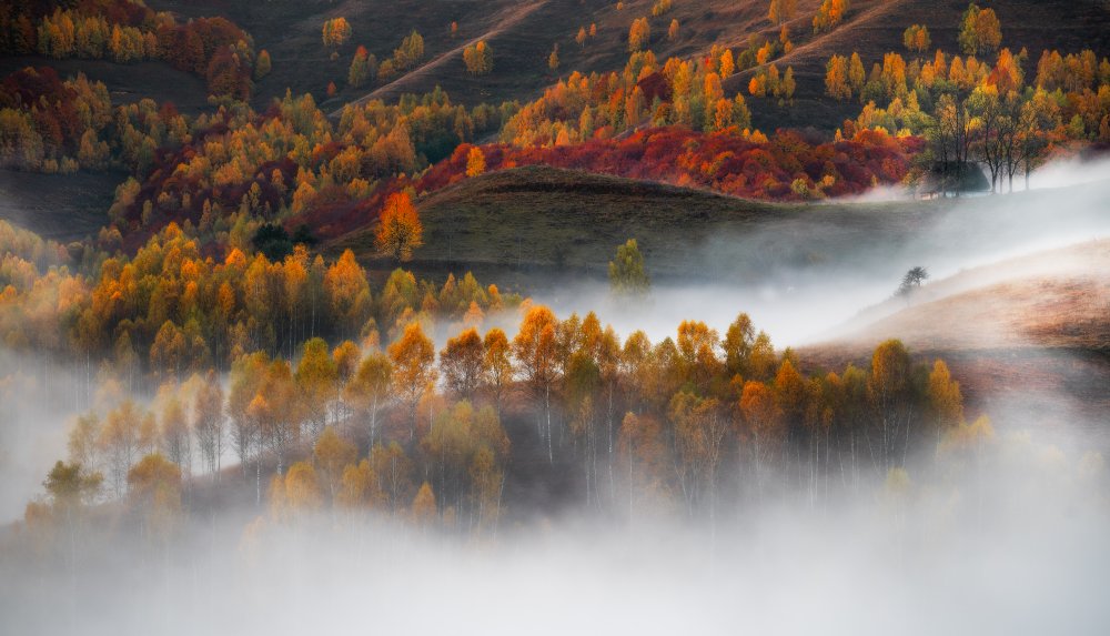 Flowing mist od Stefan Hogea
