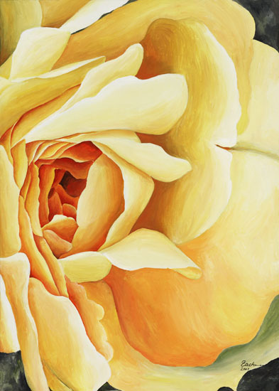 Yellow Rose (right) od Stefanie Zachmann