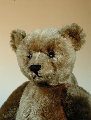 Teddy Bear (detail) od Steiff