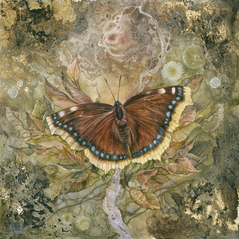 Mourning Cloak Butterfly od Stephanie Law