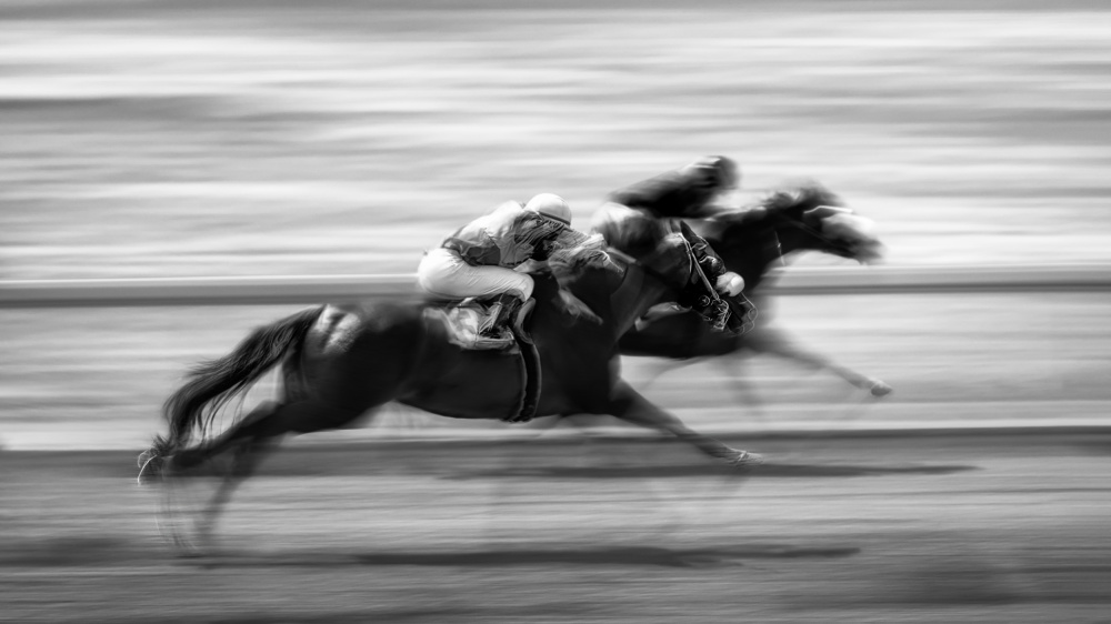 Horse Racing 7 od Steven Zhou