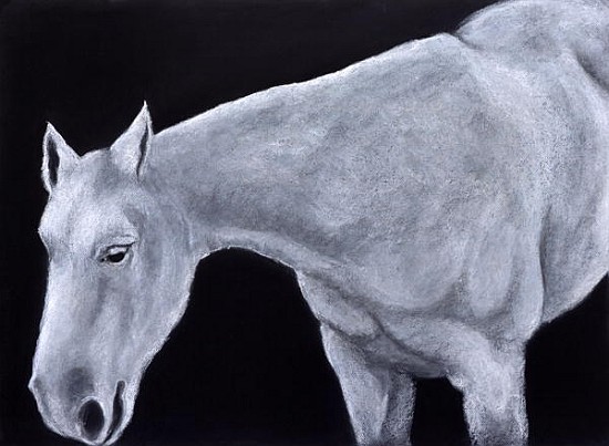 Ghost (pastel on paper)  od Stevie  Taylor