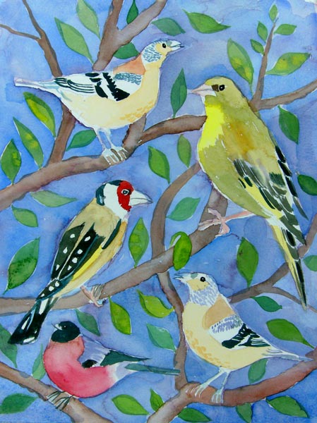 Finches od Mary Stubberfield