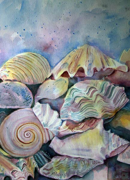 Shells od Mary Stubberfield