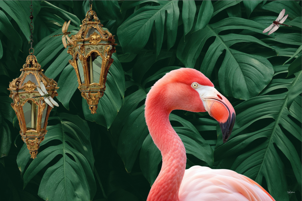 Flamingo &amp; Dragonflies od Sue Skellern