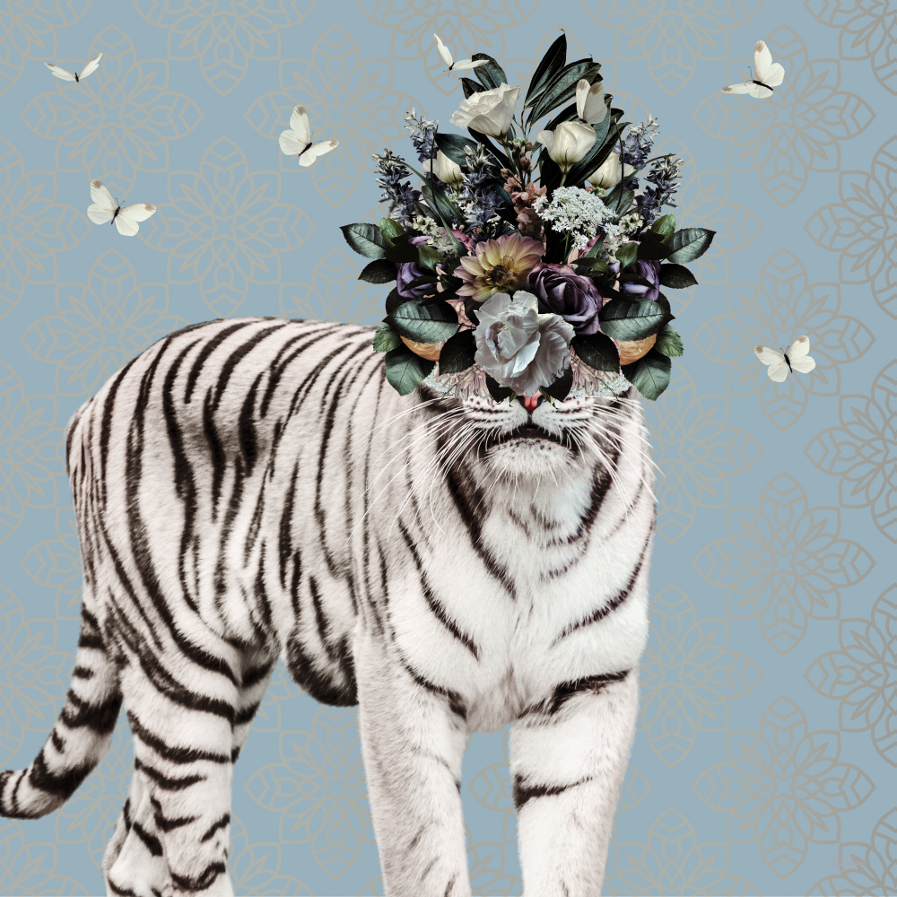 Spring Flower Bonnet On White Tiger od Sue Skellern