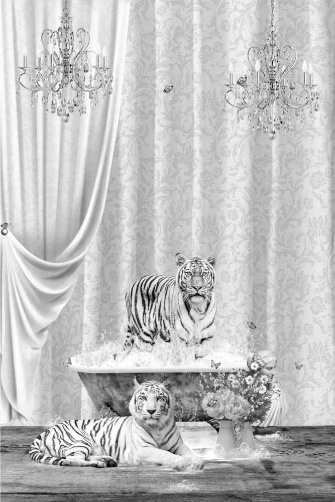White Tigers &amp; Bubbles Black &amp; White od Sue Skellern