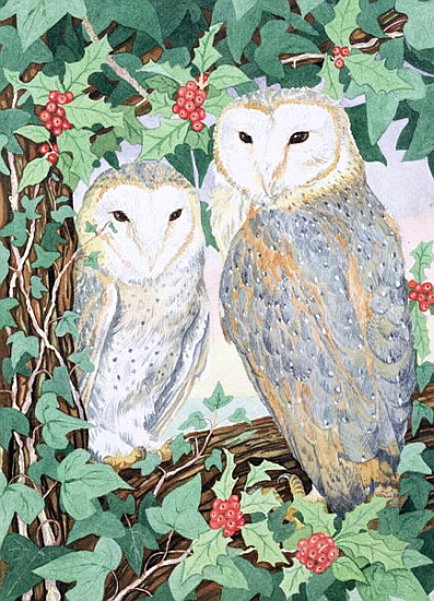 Barn Owls  od Suzanne  Bailey