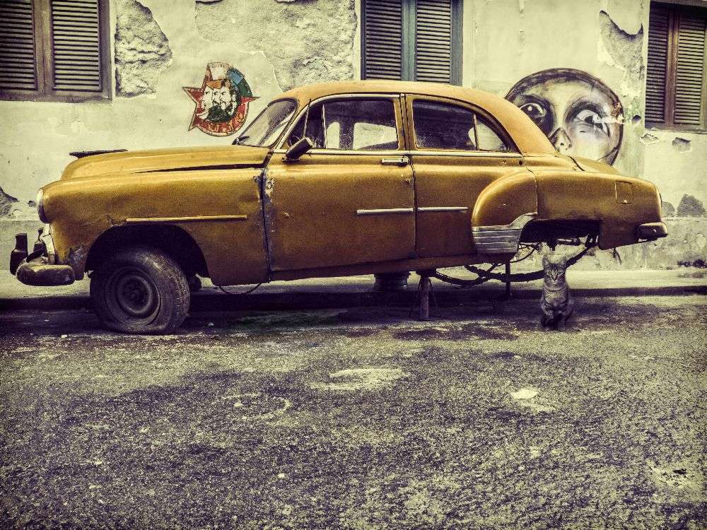 Old car/cat od Svetlin Yosifov