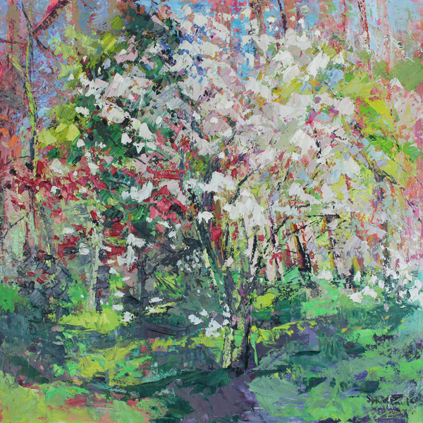 Blossom in the Wood od Sylvia  Paul
