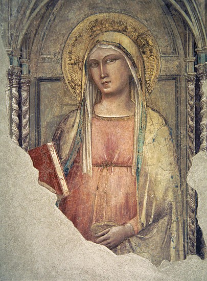 Madonna del Parto od Taddeo Gaddi