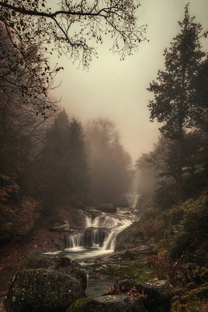 Misty Creek od Teddy Hariyanto