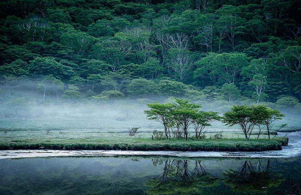 Kakumanbuchi Marsh od Teruo Araya