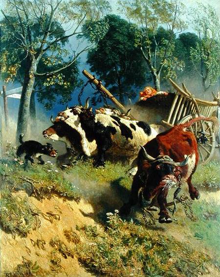 The team of oxen breaks loose od Teutwart Schmitson