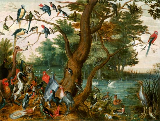 Concert of Birds (panel) od the Elder Kessel