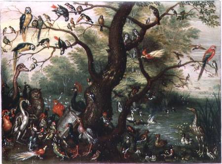 Concert of Birds od the Elder Kessel